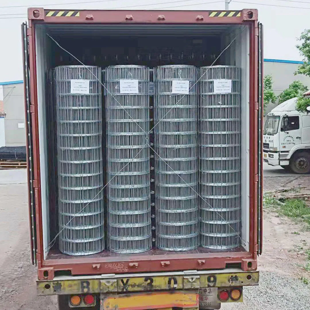 Hot Dipped Galvanized Iron Wire Mesh 1mm-2mm Diameter 6mm Aperture Electric Construction Wire Mesh for Constryction