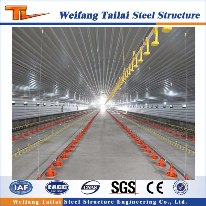 Professional Design Steel Structure Poultry Chicken Farm Prefabricated Building