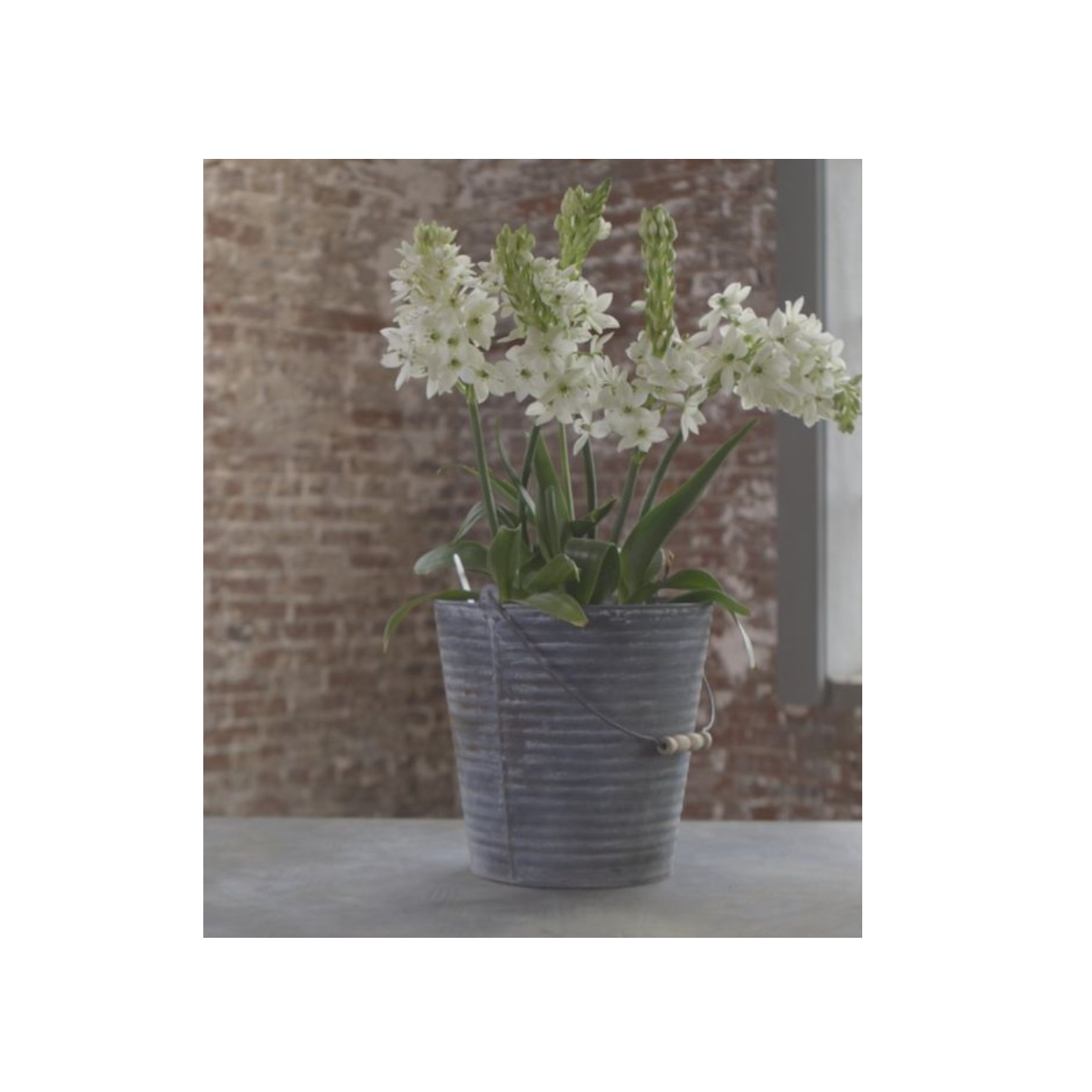 Кашпо металлические декоративные для сада