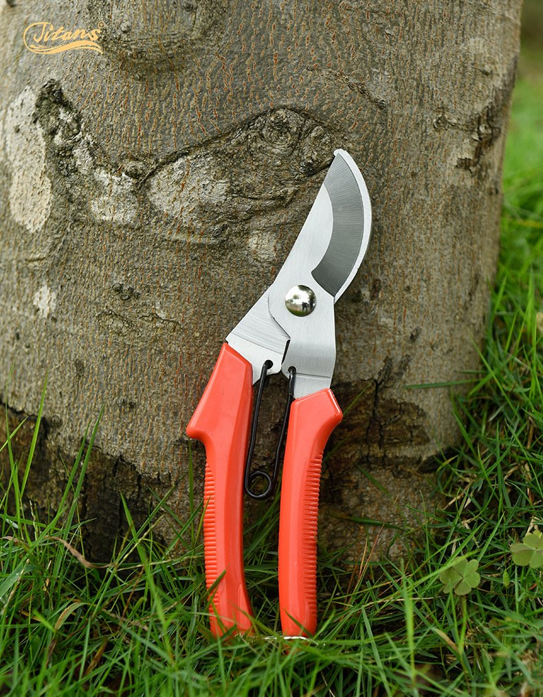 Titans Wholesale Shears Bonsai Pruner for Fruit Tree Pruning