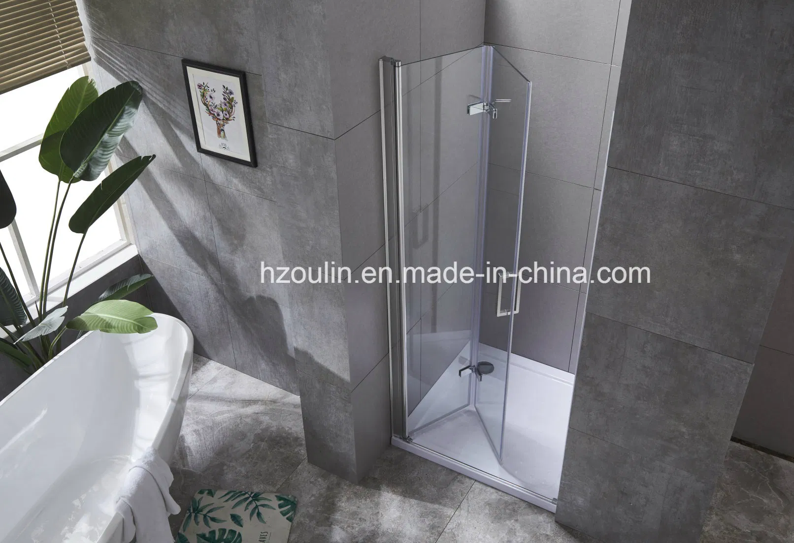 Shower Enclosure Door with Hinges