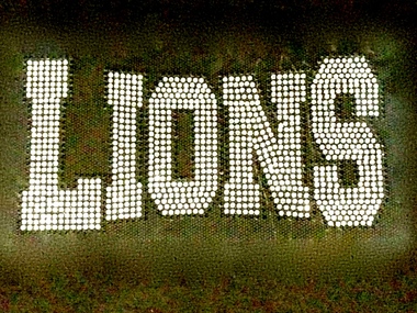 Декор стразы горный хрусталь орел для одежды