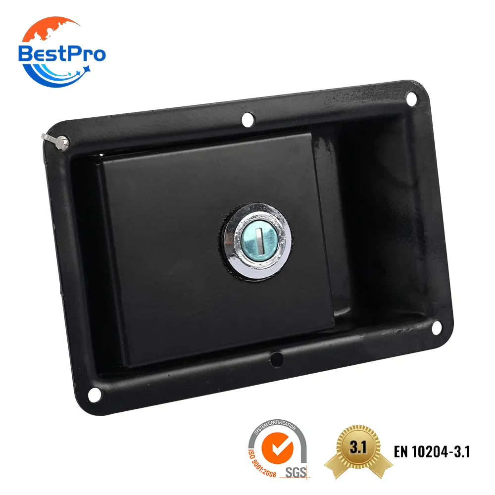 Custom Non-Standard Stainless Steel Small Cam Lock Heavy Duty Lock Black Paddle Latch for Toolbox RV Doors Cabinet Enclosure Box Case