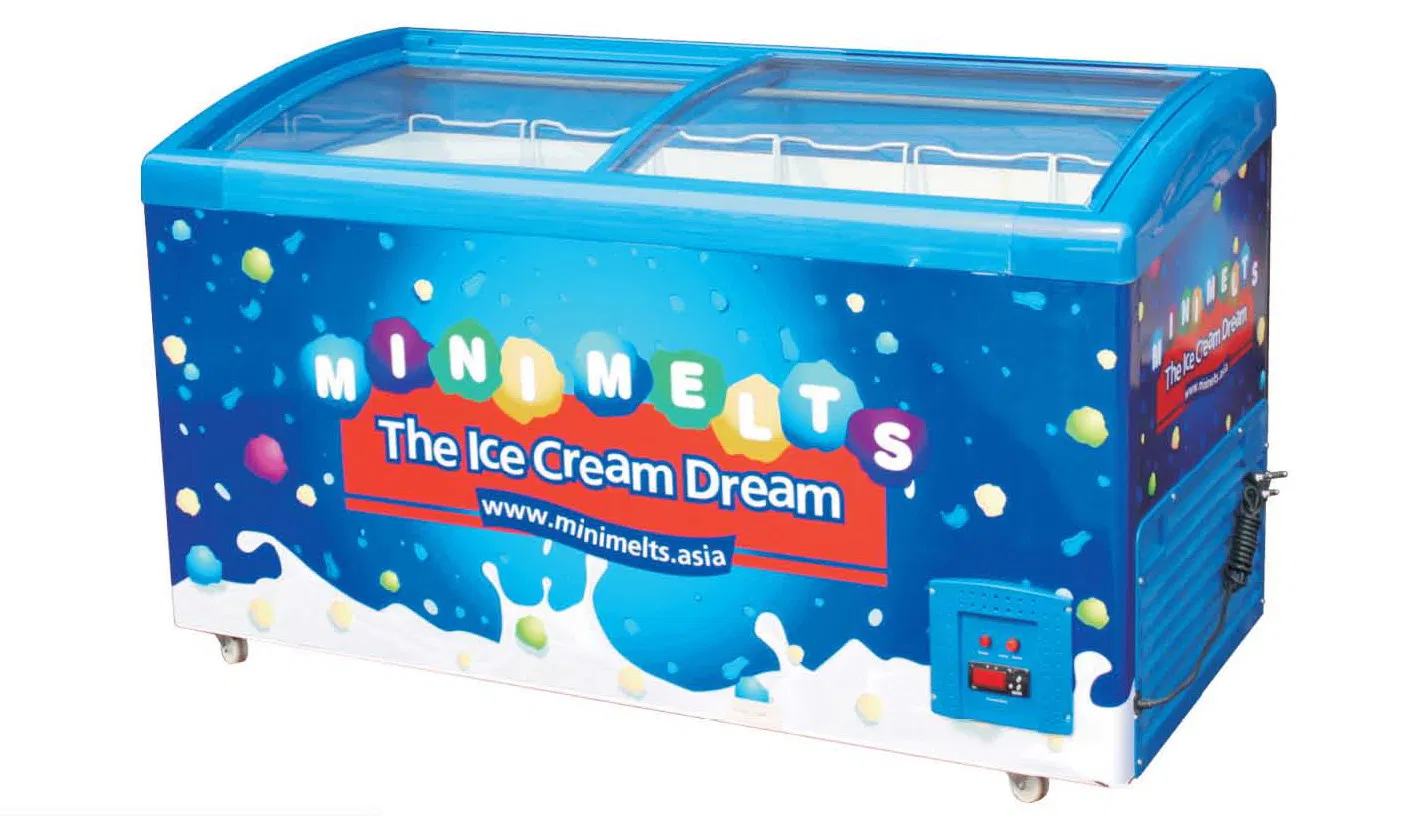 Purswave Sdsc-268y Sliding Glass Doors Solar DC Freezer 12V24V Battery Powered Deep Freezer Car Freezer Boat Freezer