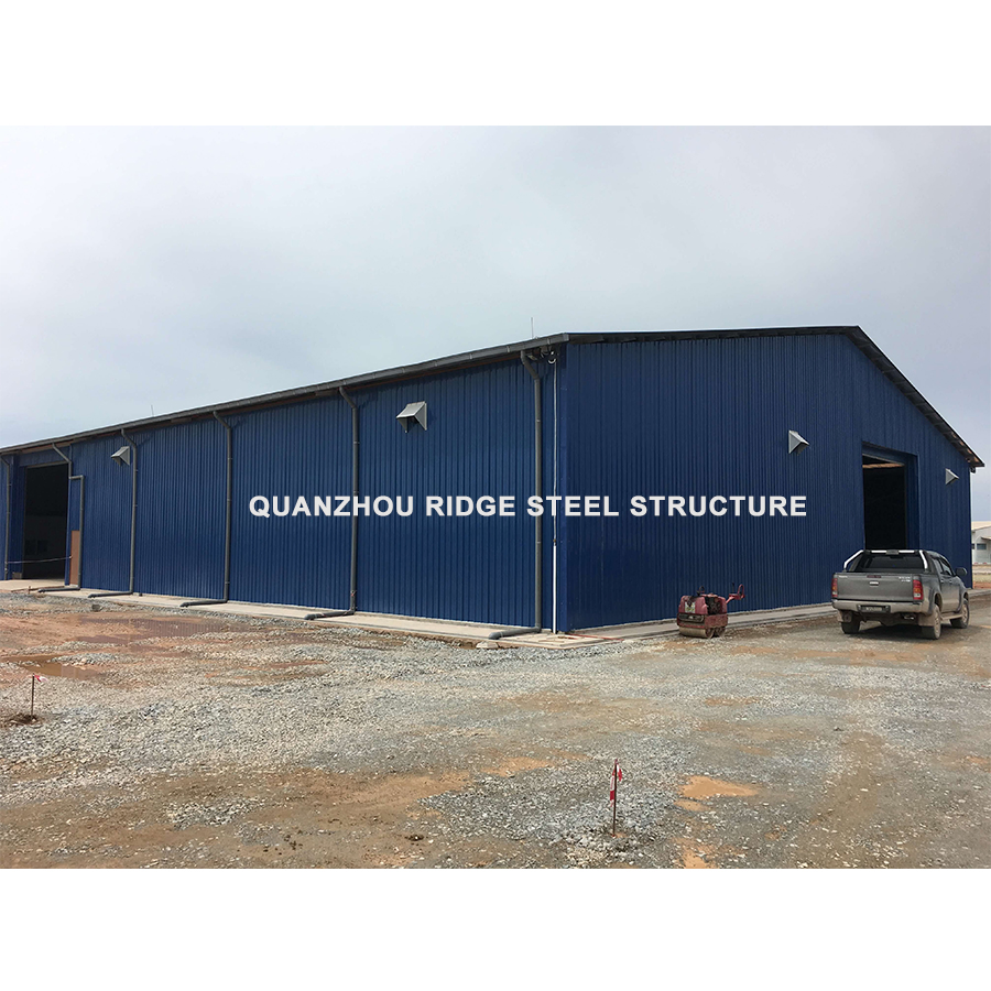 China Prefabricated Steel Building Manufacturer Industrial Steel Structure Fruit Processing Workshop Building