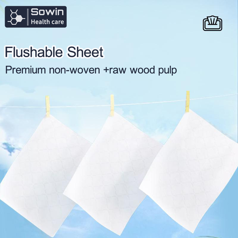 Manufacture Custom Flushable Premium Non-Woven Antiphlogistic Toilet Wet Wipes