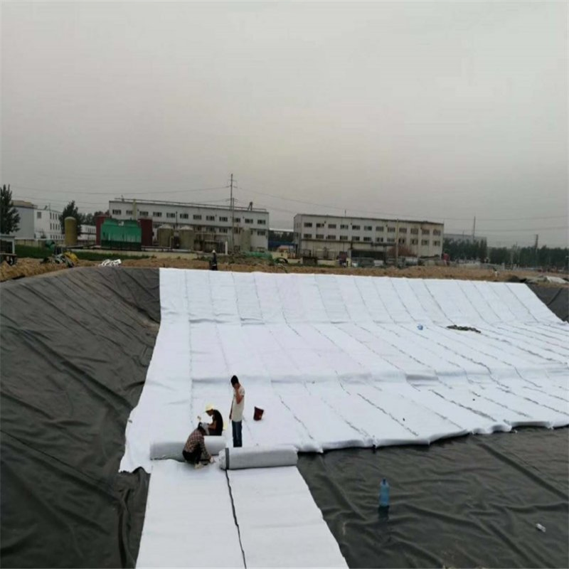 High Quality Water Conservancy Project Composite Geotextile Woven Building Material Geogrid Geonet