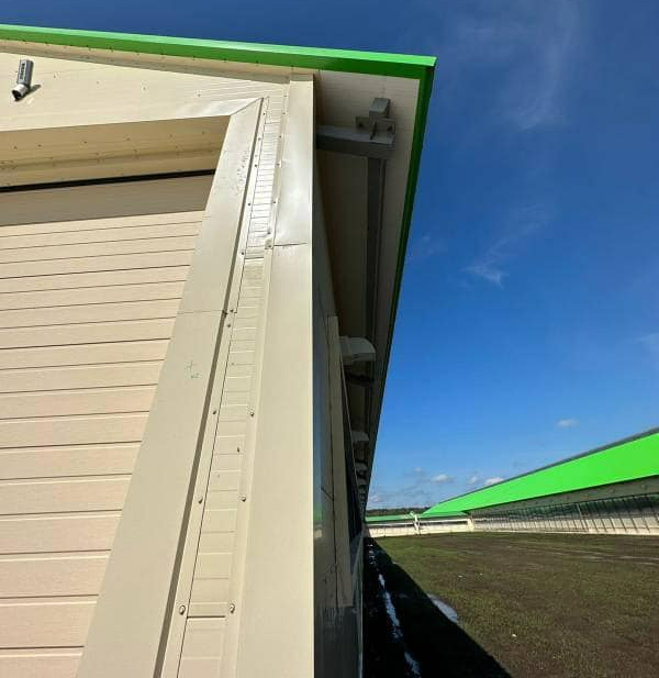 Prefabricated Steel Structure Building for Chicken/Cow Farm