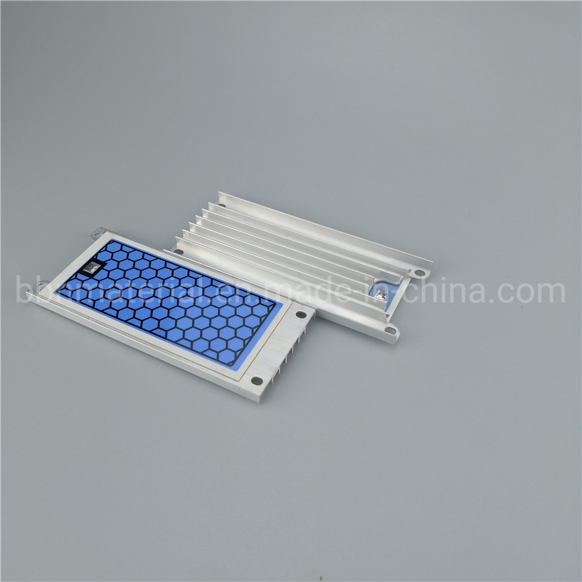 110V or 220V Integrated 10g/H Stainless Steel Ozone Ceramic Plate Ozone Generator