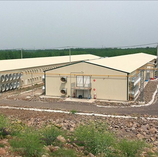 Architecture Prefabricated Poultry House Customized Poultry Farm Chicken House Coop