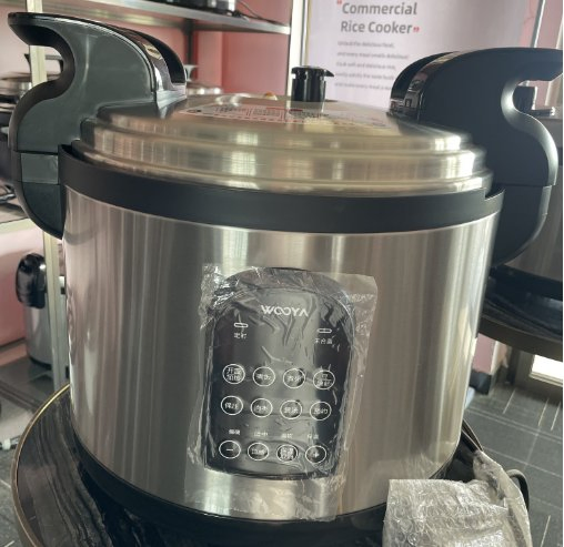 High-Performance Electric Pressure Cooker for Quick Meal Prep