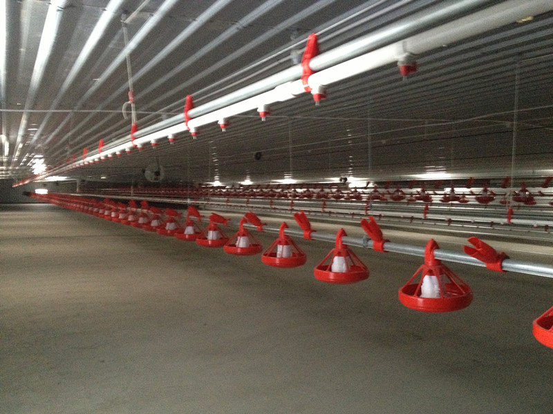 Prefabricated Structural Steel Customized Shed Metal Construction Poultry House