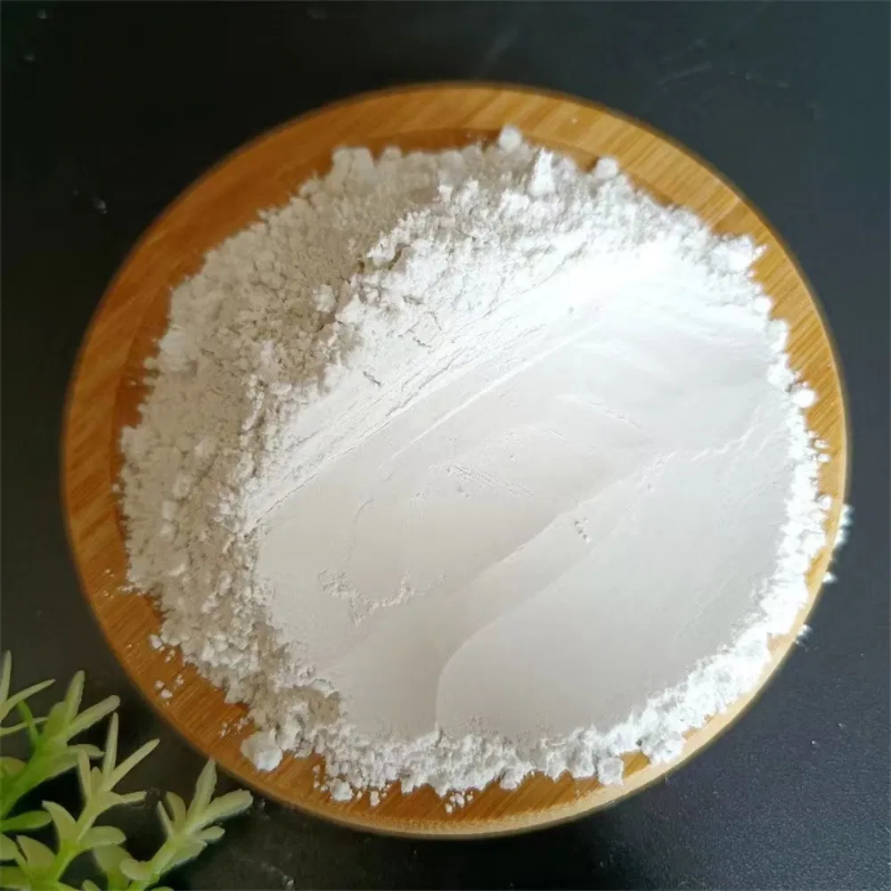 Affordable Hydroxypropyl Methylcellulose HPMC Thickeners for Construction Projects