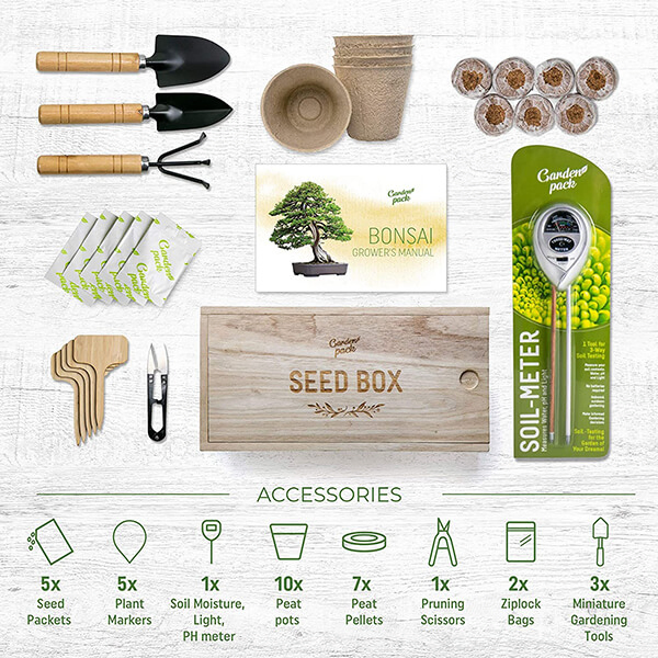 Garden Pack Grow Your Own Bonsai Tree Kit with Plant Markers Soil Moisture Light pH Meter Peat Pots Peat Pellets Pruning Scissors Miniature Gardening Tools