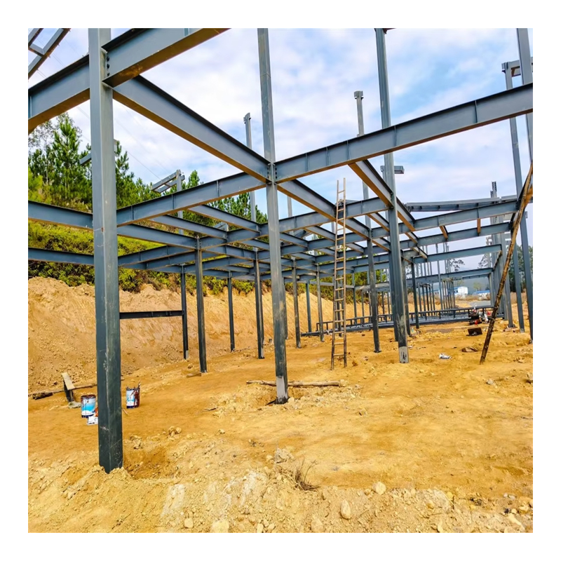 Hot-DIP Galvanized Industrial Light Steel Structure Prefabricated Warehouse for Factory Direct Sale