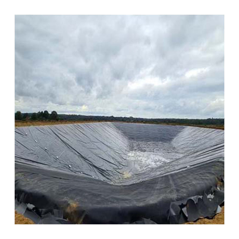 1mm 1.5mm 2mm Fish Farm Pond Liner HDPE Geomembrane