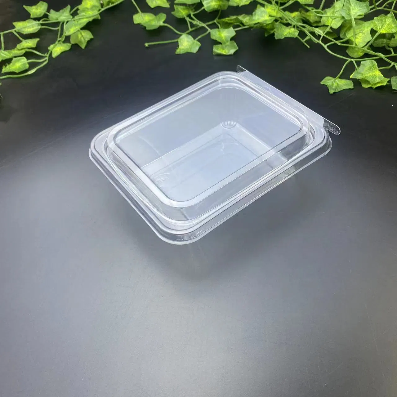 Food container seal packaging box for salad and foods