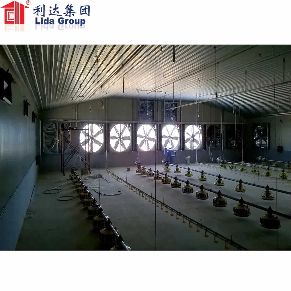 China Supplier Quality Cheap Used Industrial Sheds Design for Sale