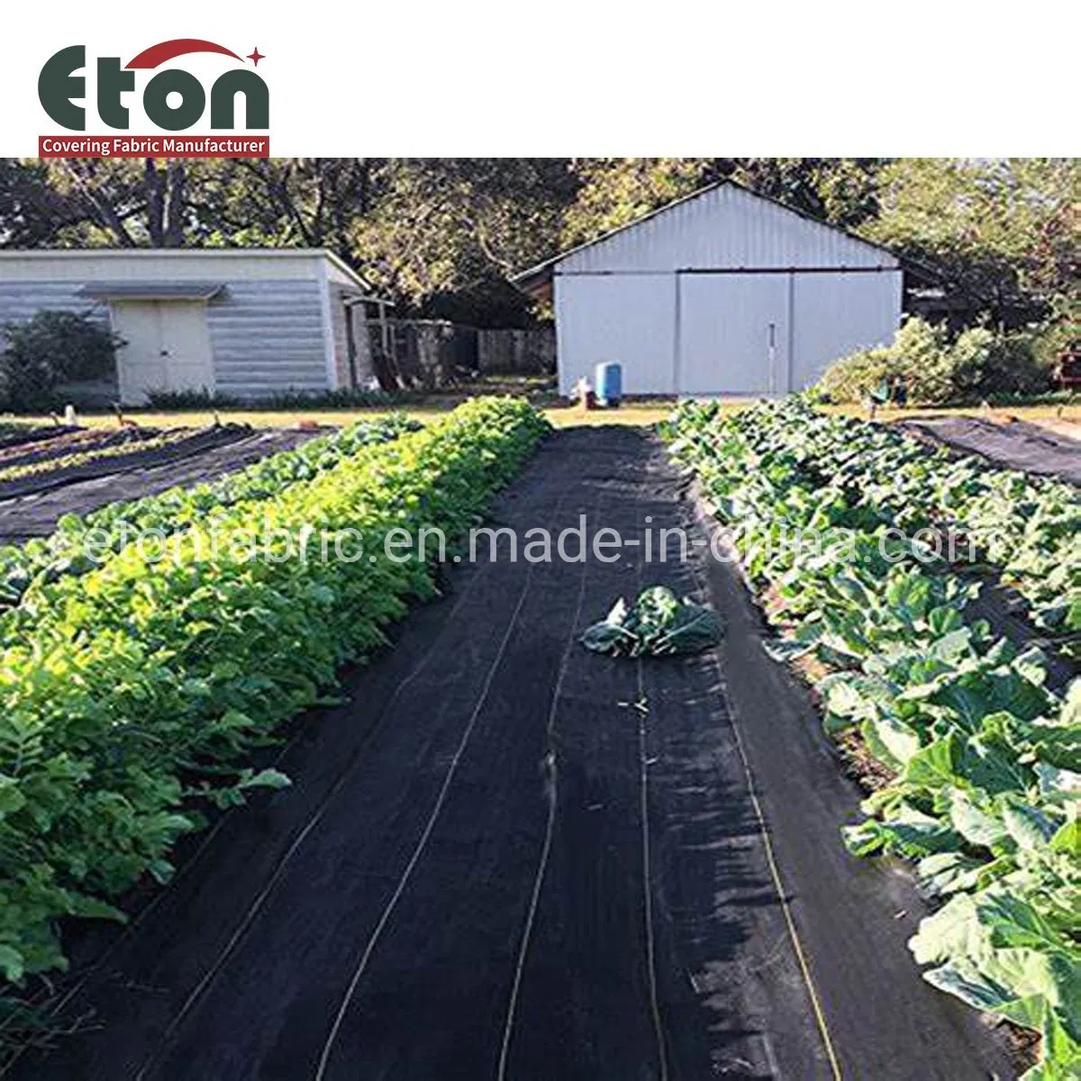 Quality Guaranteed PP/PE Plastic Black Woven Weed Blocker Mat for Garden Lawns