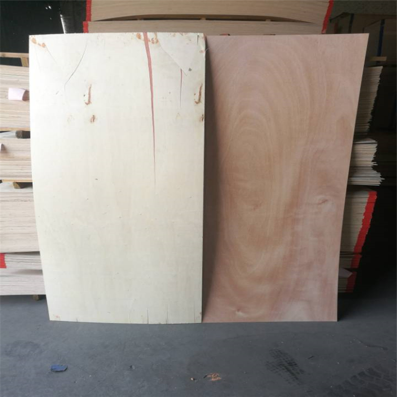 Natural Wood Veneer and Melamine Paper Surface High Quality HDF/MDF Door Skin