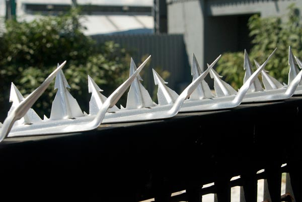 Anti-Climed Razor Spikes/ Wall Spike