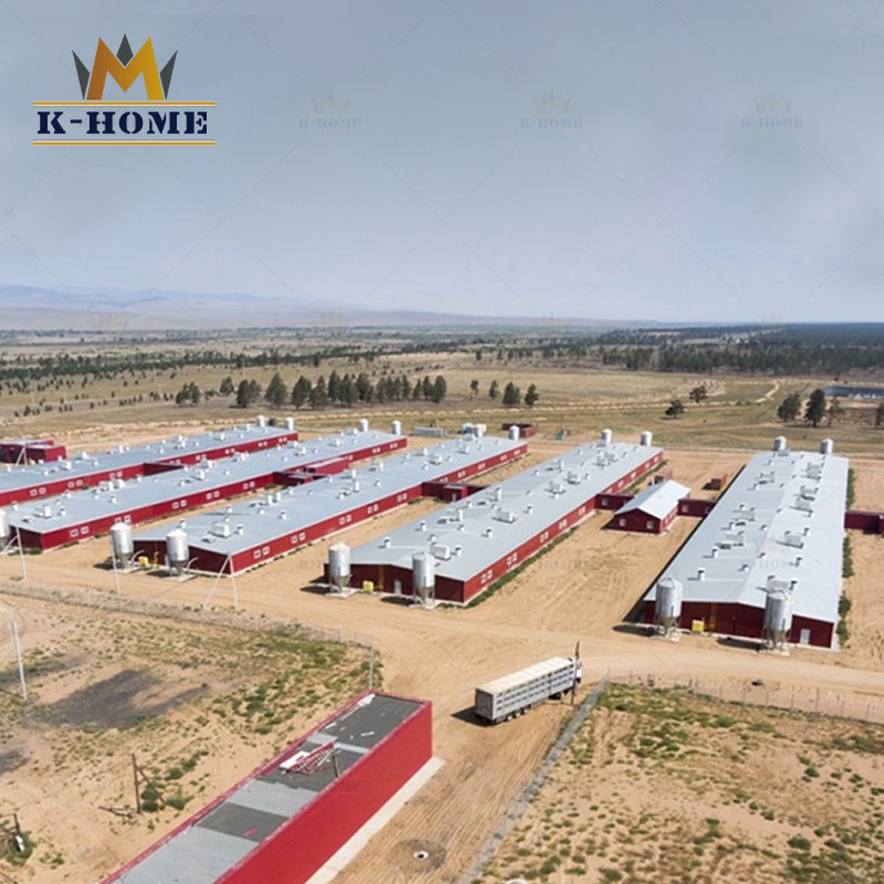 Light H Section Steel Frame Prefab Poultry Full Set Chicken Farm House