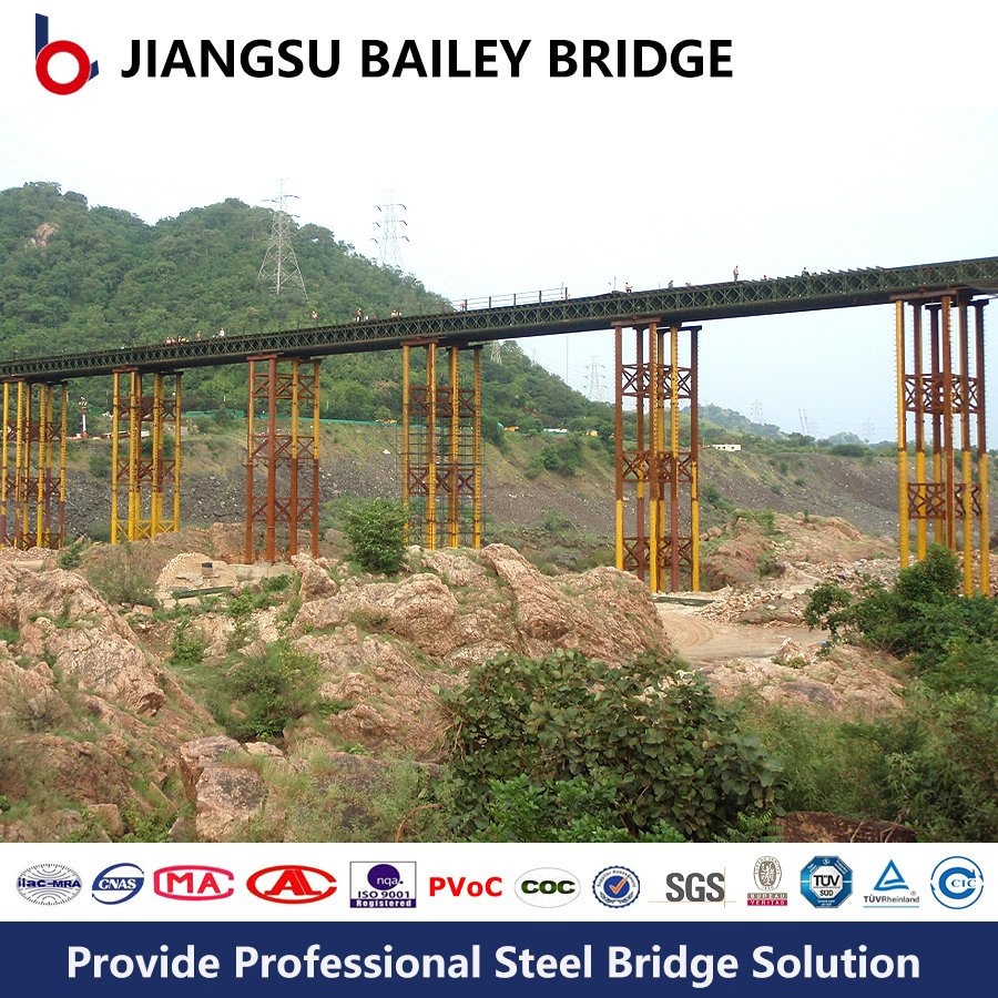 High Quality Steel Double Truss Pedestrian Bridge Quick Build Prefabricated Bailey Bridge