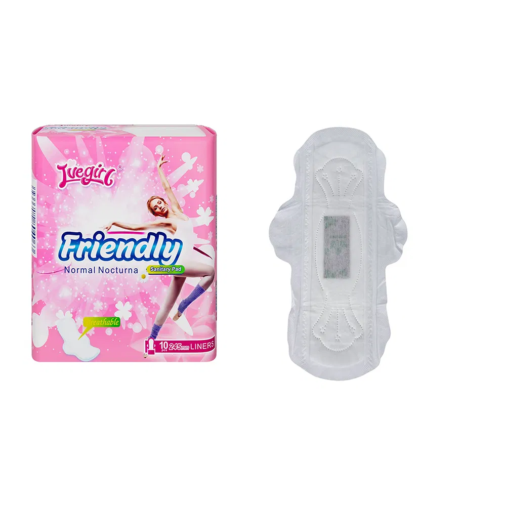 China Manufacturer Wholesale Hot Selling Herbal Wormwood Chip Ladies Winged Disposable Sanitary Napkins / Sanitary Pads / Sanitary Towels for Day and Night Use