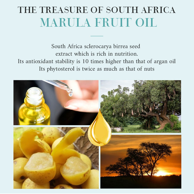 Eco Friendly Perfume Organic Toilet Cleaning Liquid Hand Wash Soap