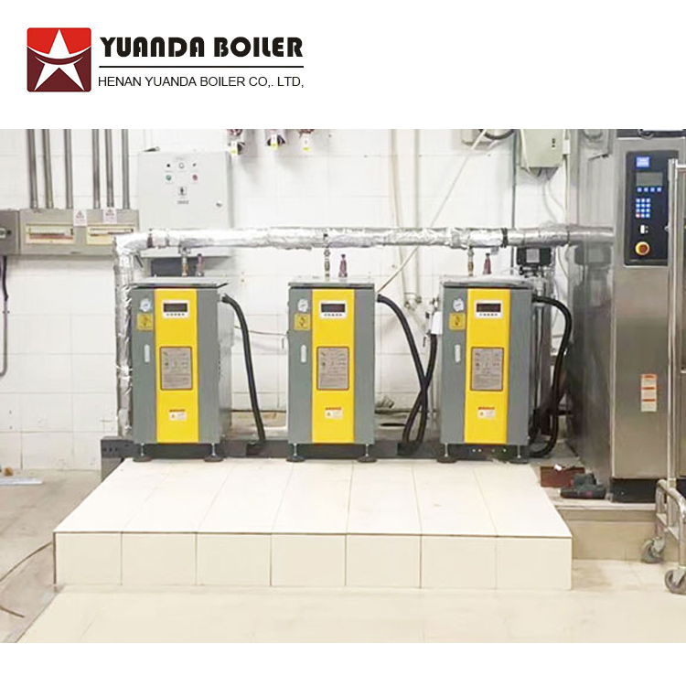 Ldr 13 17 20 25 30 35 40 50 65 75 85 100 110 120 125 150 180 200 250 300 350 400 500 Kg Electric Steam Boiler Generator