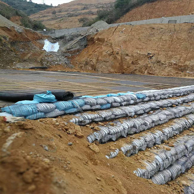 Customized High Tense Strength High Friction Coefficient 160kN/M HDPE Uni-Direction Uniaxial Plastic Geogrid for Water Resources Engineering