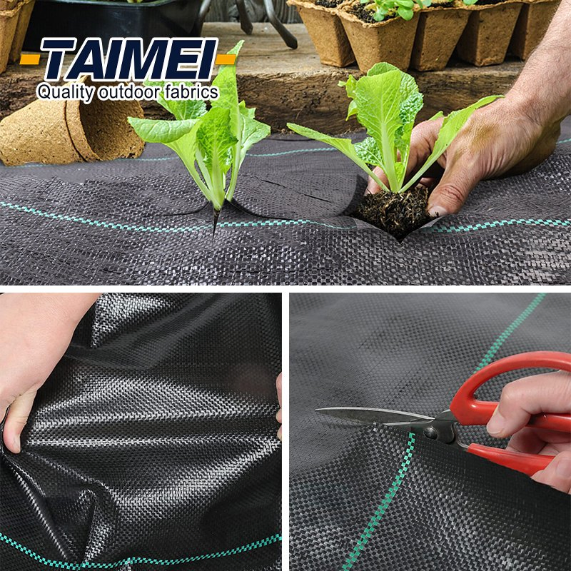 Biodegradable and Recyclable Black Color Polypropylene Weed Barrier PP Woven Ground Cover Weed Mat for Garden Lawns and Nursery