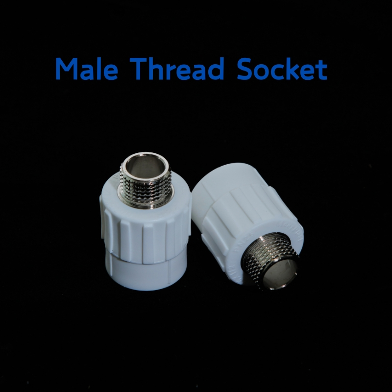 Wholesales PPR Male Thread Socket of PPR Pipe Fittings 20*1/2'