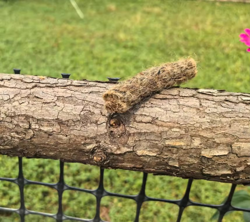 Factory Firestarter Natural Wick Fire Starter Rope Starting Fire Quickly Camping