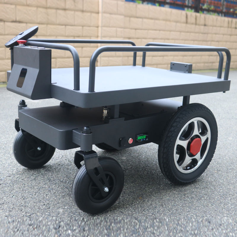 Chuangwang Cw-GS Intelligent Follow-up Robot with Multiple Functions Including Following, Manual Pushing, and Remote Control