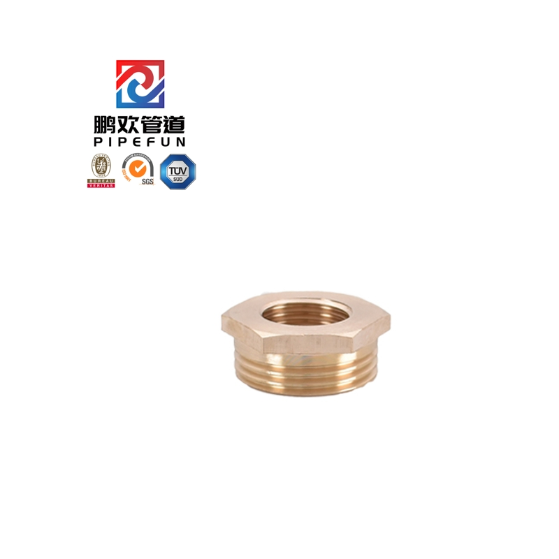 High Pressure Brass Steel Forged Thread Hex Head Bushing