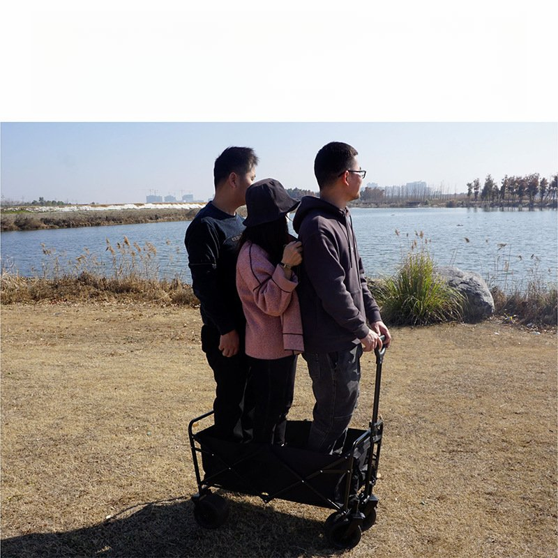 Promotion Foldable 7 Inch Wheels and Dual Brakes Shopping Outdoor Camping Trolley Cart