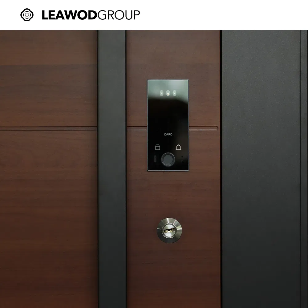 Chinese Customized Exterior Entrance Metal Door Metallic Armored Aluminum Security Door