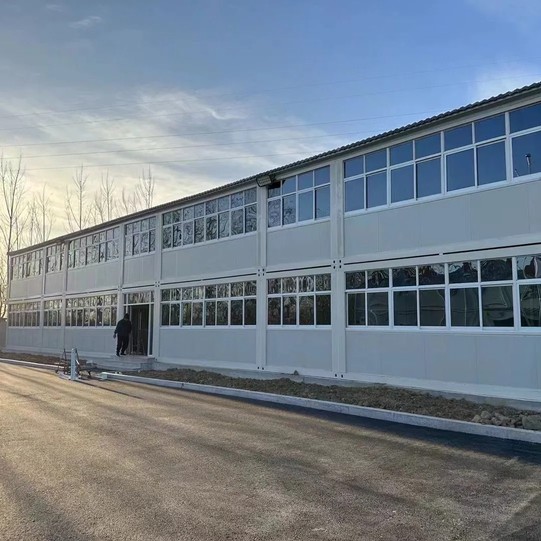 Luxury Well Designed Prefabricated Glass Facade Office Building Container Prefab Pod House