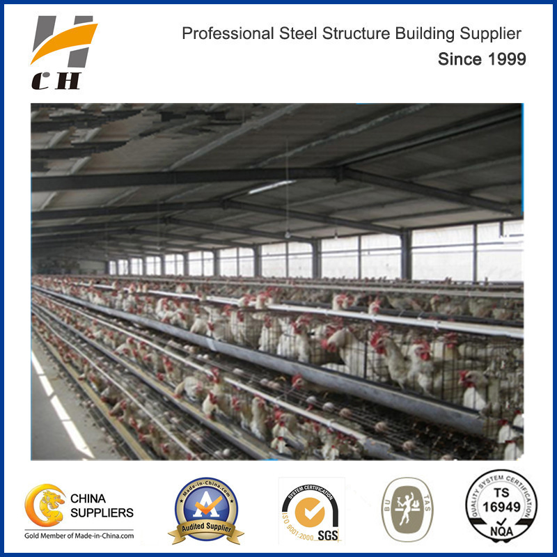 Steel Structure Chicken Poultry Building