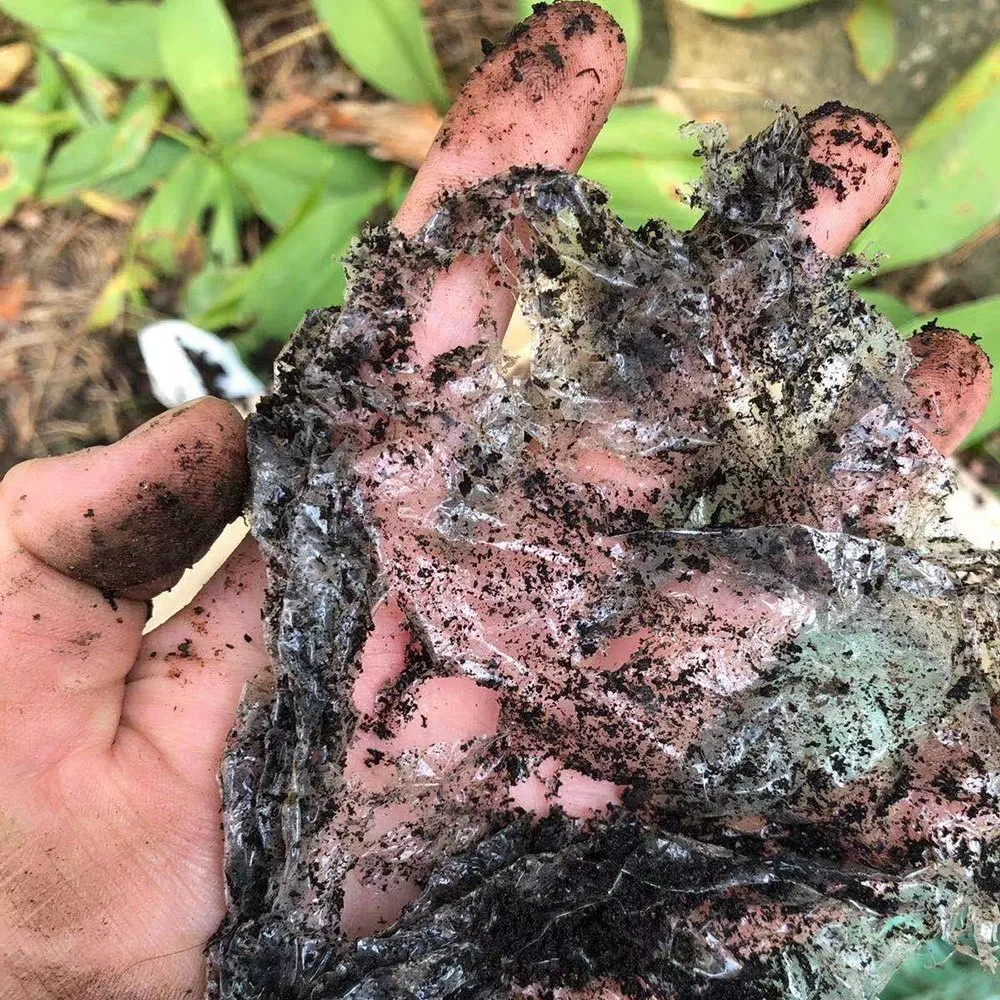 Premium Quality PLA Cling Wrap for Refrigerator Use