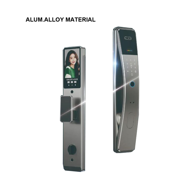 Economy 3D Face Unlock Alumnium Material Smart Lock