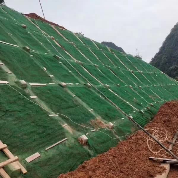 3D Geomat Errosion Control Mat and Plastic Geomat Polyamide PA6 Geomat