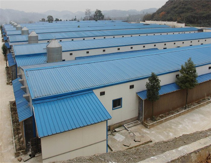 Low Cost Prefab Steel Structure Farm Poultry Metal Frame Factory Direct Supply