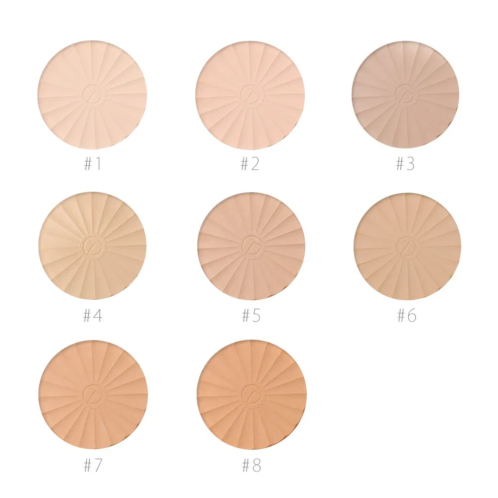 Otwo42 Powder Pressed Powder Custom Logo Private Label Face Makeup Compact Powder Highlighter Foundation Pressed Setting Powder