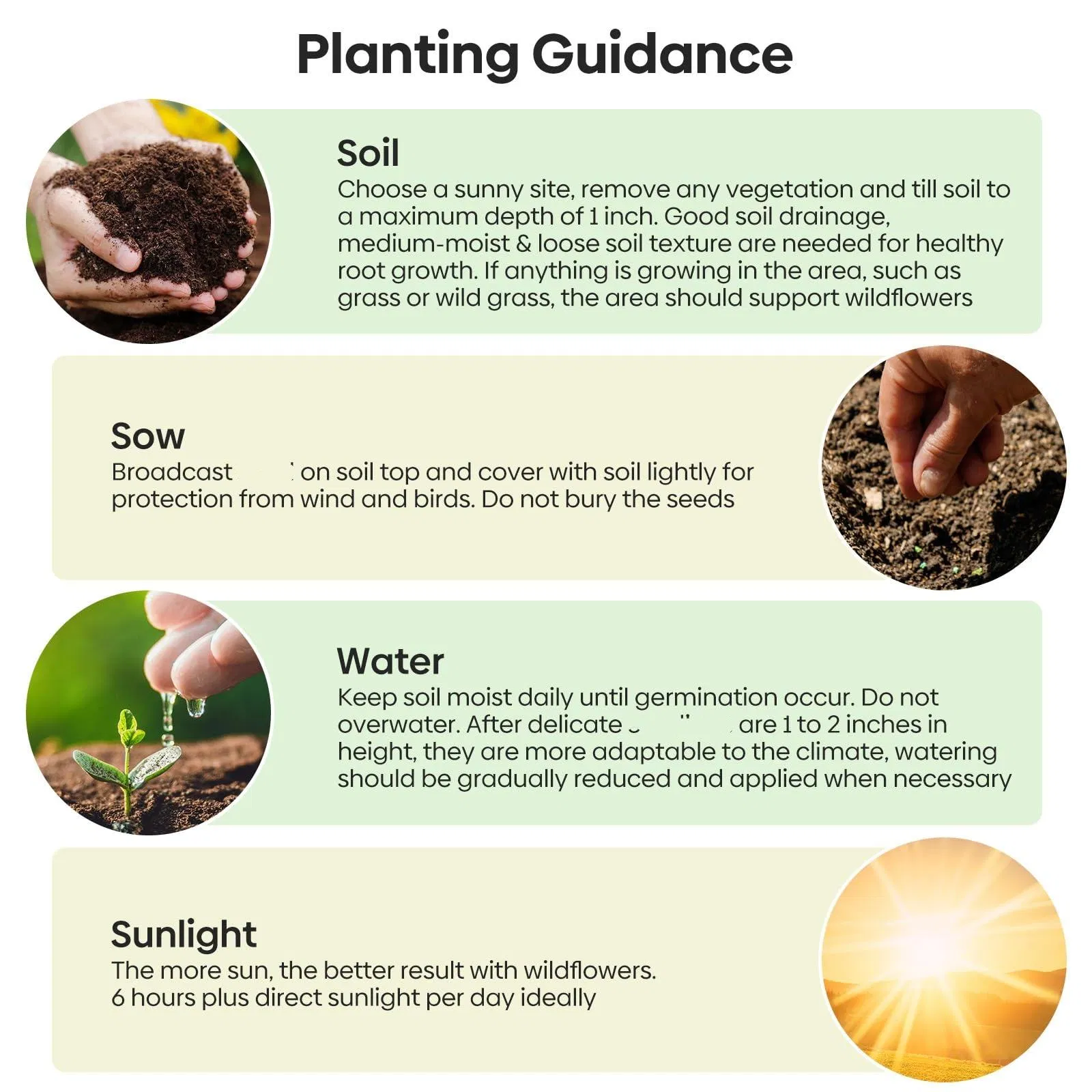 Wild Flower Garden Seed Mix Packet Kit