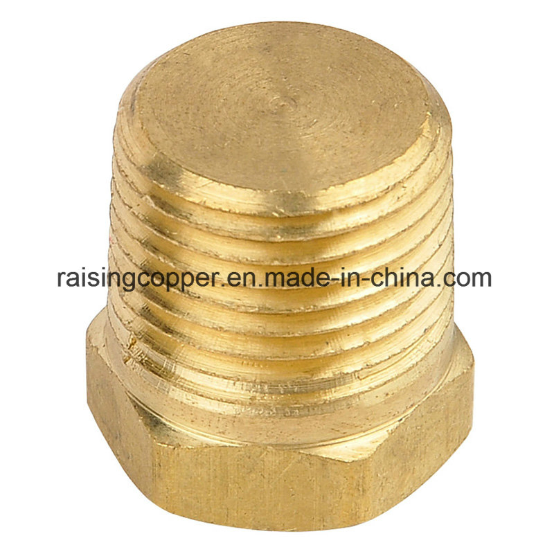 Brass Plug with NPT Thread