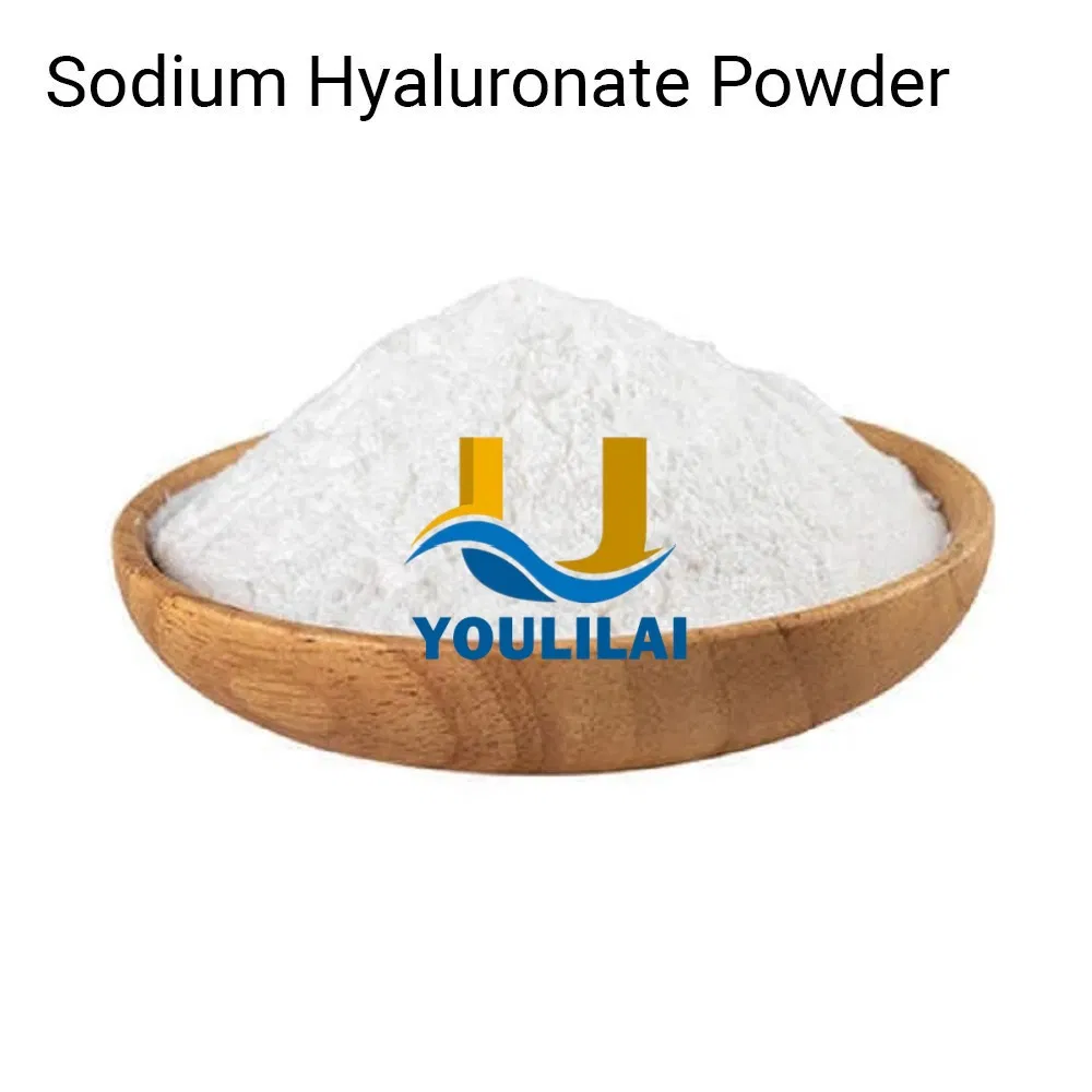 High-Quality Food/Cosmetic Raw Material CAS 9004-61-9 Skin Care Pure Sodium Hyaluronate Powder Sodium Hyaluronate