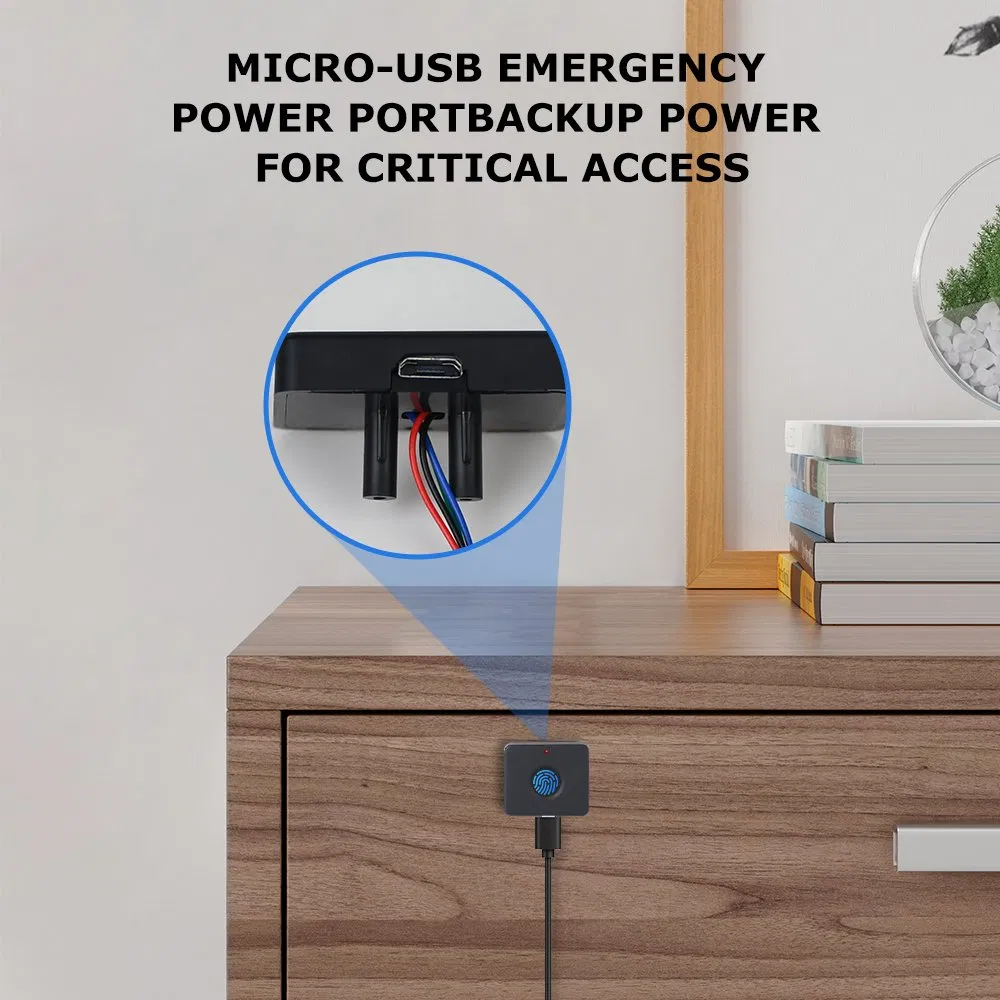 High-Tech Fingerprint Lock for Cabinets and Office Furniture