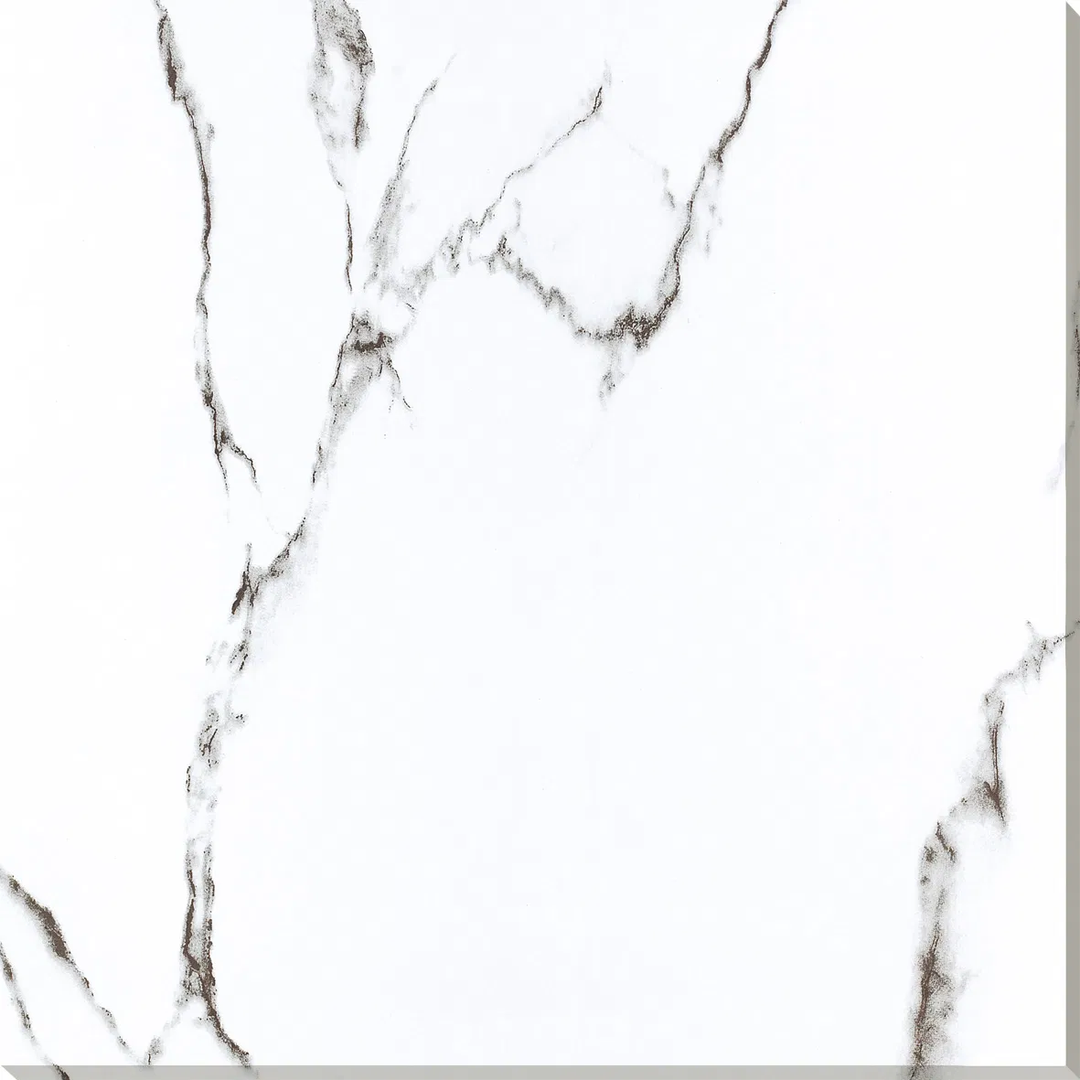 600X600mm 800X800mm 600X1200mm Factory Polished Glazed Porcelain Carrara White Floor Tiles